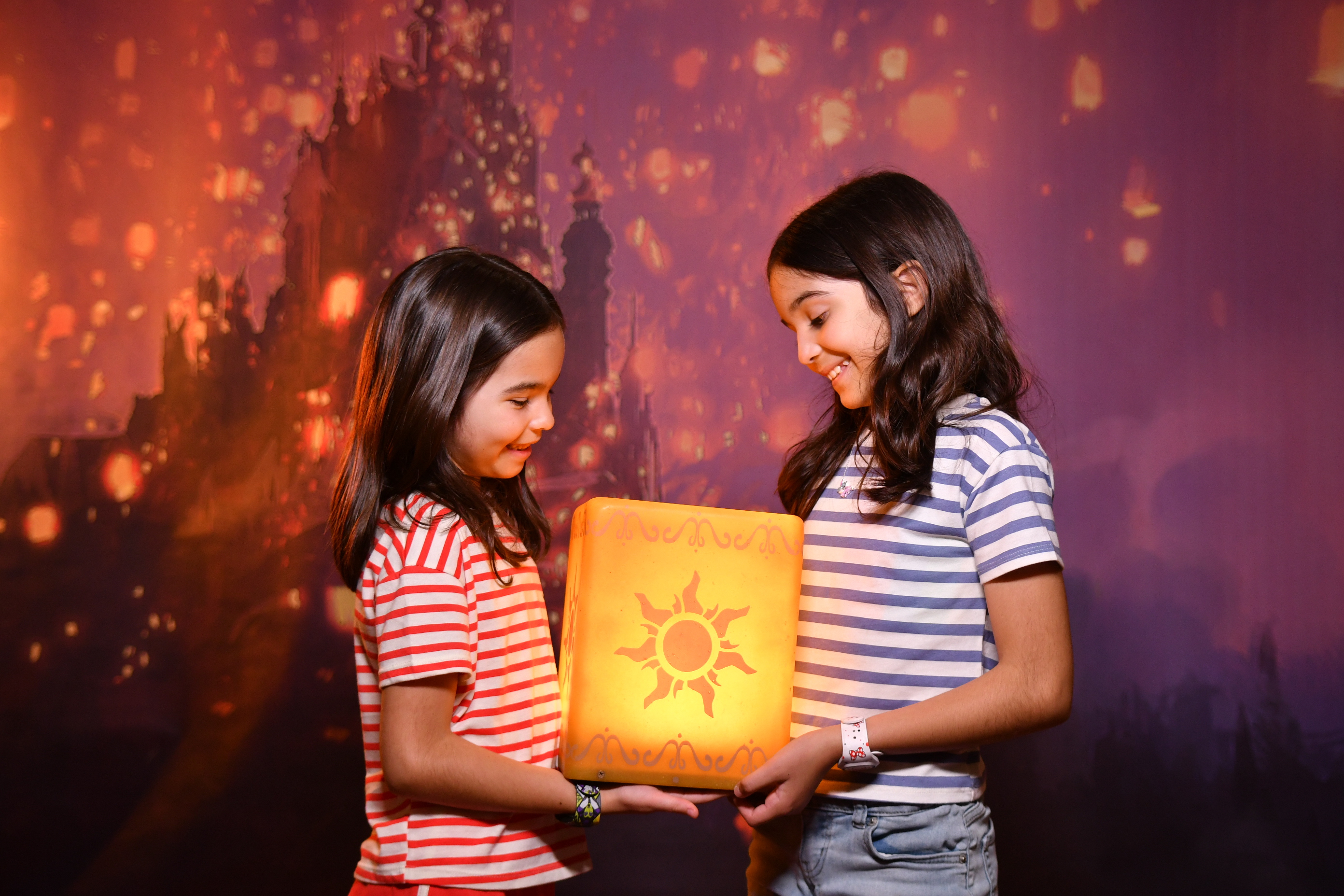 Rapunzel's Lantern 1
