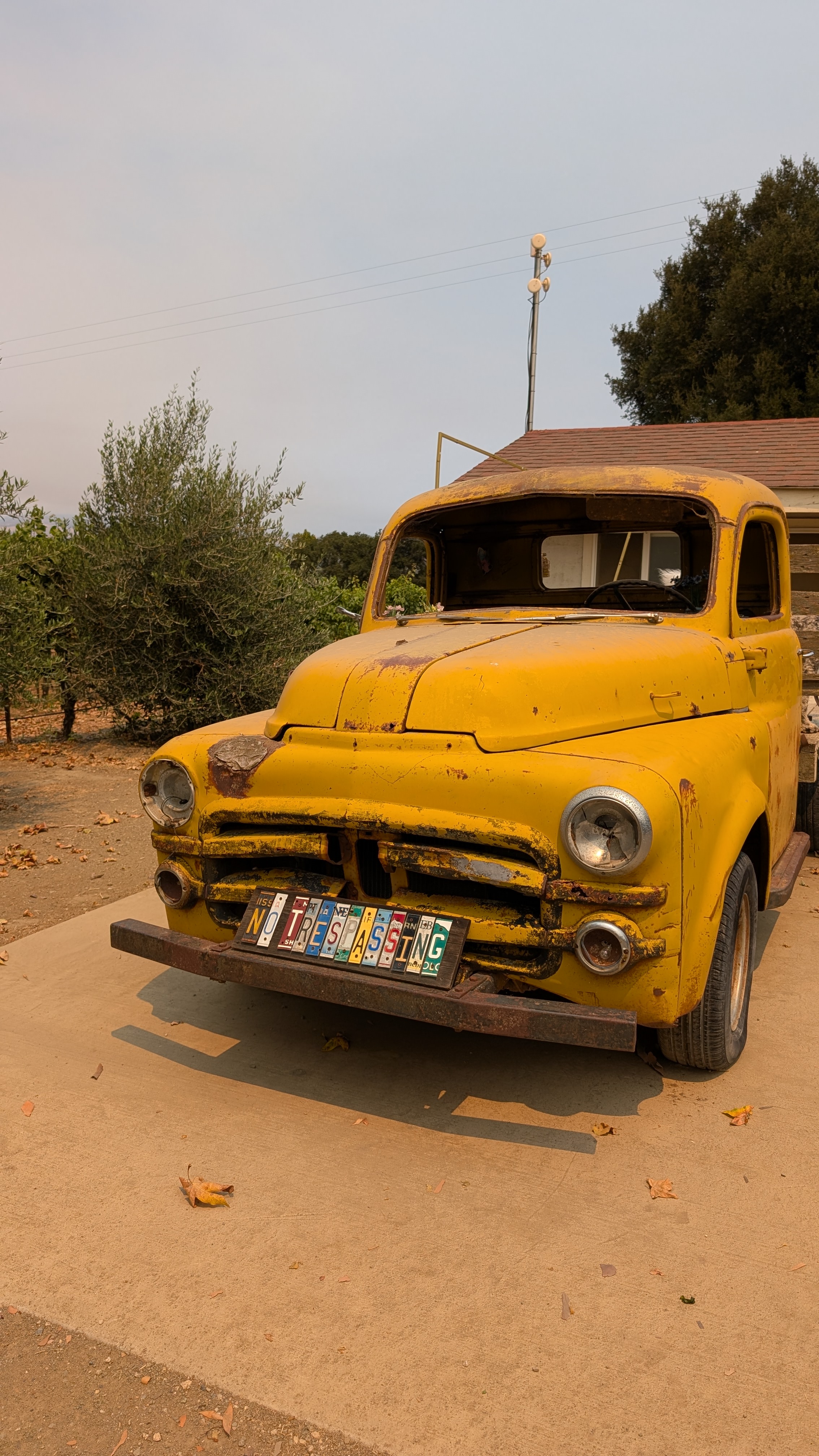 Vega Vineyards 2025