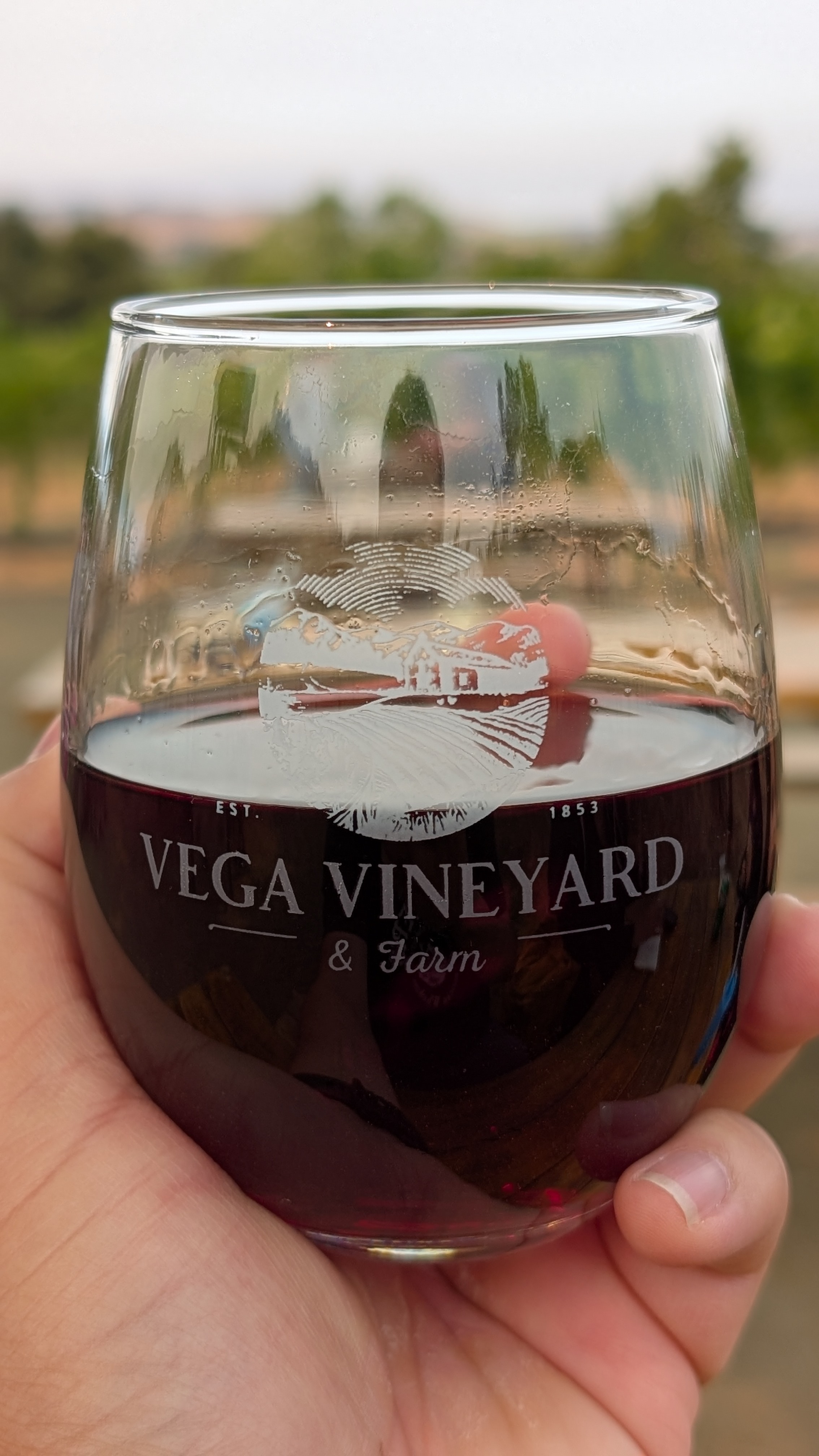 Vega Vineyards